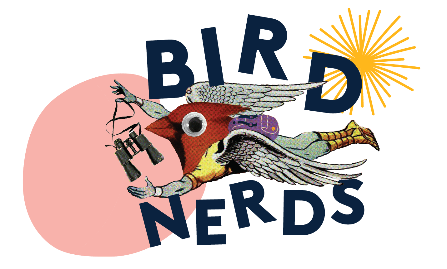 web-bird-nerds-header-01